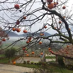 Bauernhof Fonte Chiara *