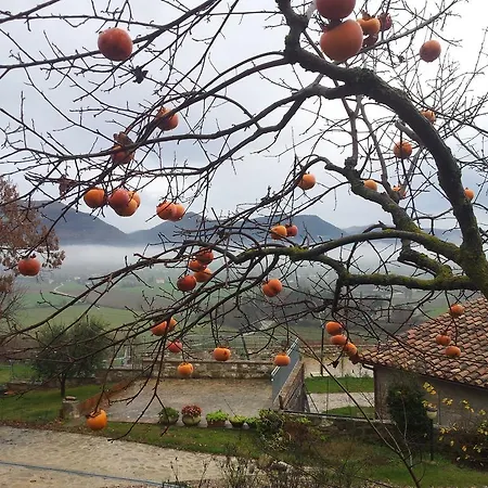Alojamento de Turismo Rural Fonte Chiara *
