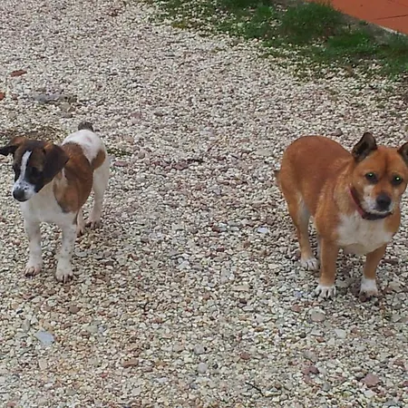 Agroturismo Fonte Chiara Gubbio