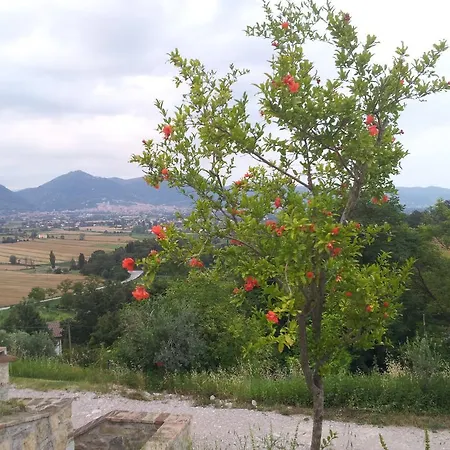 Fonte Chiara * Gubbio
