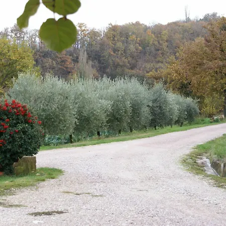 Alojamento de Turismo Rural Fonte Chiara Gubbio