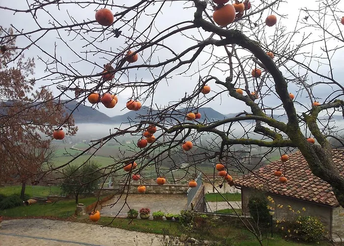 Farma Fonte Chiara *