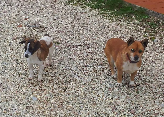 Farma Fonte Chiara Gubbio