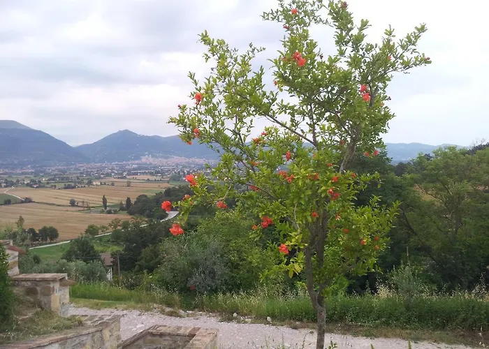 Fonte Chiara * Gubbio
