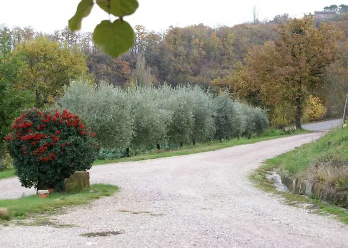 Farma Fonte Chiara Gubbio